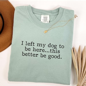 May include: A light green t-shirt with the text "I left my dog to be here...this better be good" in black. A gold necklace and a brown hat are also visible. The shirt is a Comfort Colors brand.