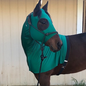 Solid Color Horse Hoods