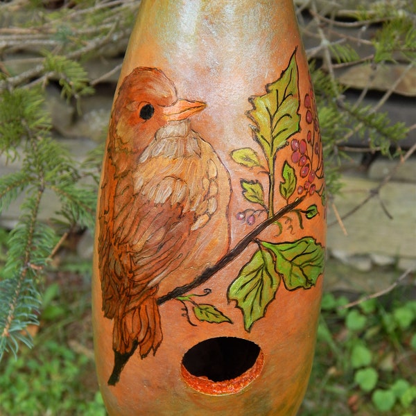 Gourd Birdhouse. Painted Gourd Birdhouse. Dried Gourd. Wood Burned Gourd. Penguin Gourd. Powder Horn Gourd. Gourd. Garden Decor.