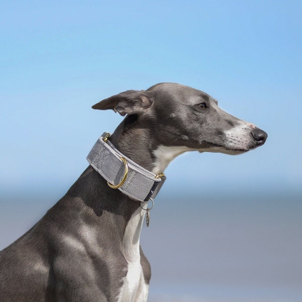 Greyhound Dog Collar Etsy