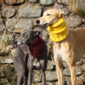 6 COLOURS Hand Knitted Warm Neck Warmer / Snood Knit Whippet Greyhound Italian Greyhound Lurcher Sighthound Galgo Saluki - Various Colours