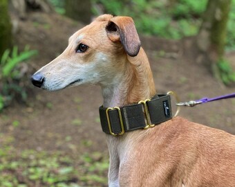 Dark Green Martingale Collar Whippet Greyhound Italian Lurcher Sighthound Wide Dog Collar