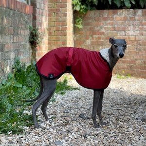 Red/Burgundy Matt Fleece Lined Waterproof Coat Whippet Greyhound, with matching Adjustable Clip Strap Lurcher/ Italian Greyhound/ Sighthound