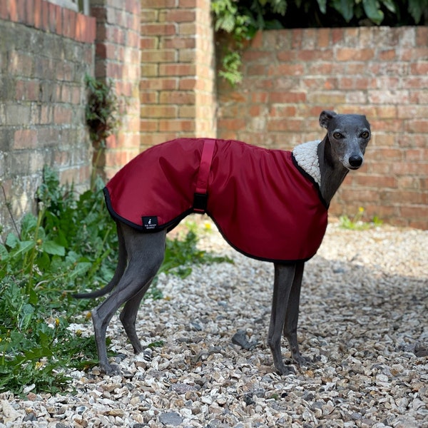 Manteau imperméable doublé de polaire mat rouge/bordeaux Whippet Greyhound, avec sangle à clip réglable assortie Lurcher/ Italian Greyhound/ Sighthound