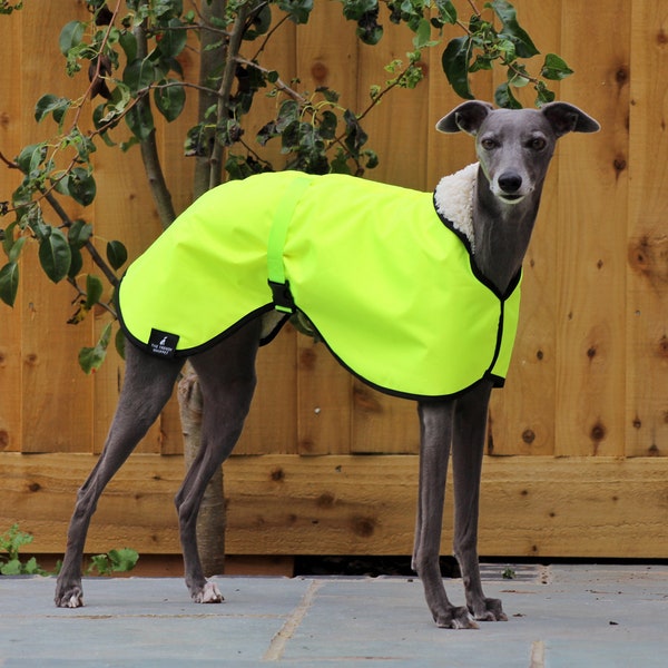 Hi Vis Yellow Fleece Lined Waterproof Coat Whippet Greyhound, with matching Adjustable Clip Strap Lurcher/ Italian Greyhound/ Sighthound