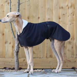 Black Fleece Lined Waterproof Coat Whippet Greyhound, with matching Adjustable Clip Strap Lurcher/ Italian Greyhound/ Sighthound