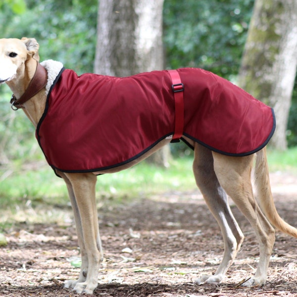 Burgundy Fleece Lined Waterproof Coat Whippet Greyhound, with matching Adjustable Clip Strap Lurcher/ Italian Greyhound/ Sighthound