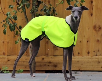 Hi Vis Yellow Fleece Lined Waterproof Coat Whippet Greyhound, with matching Adjustable Clip Strap Lurcher/ Italian Greyhound/ Sighthound