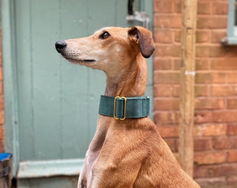 Green Cord Martingale Collar Whippet Greyhound Italian Lurcher Sighthound Wide Dog Corduroy