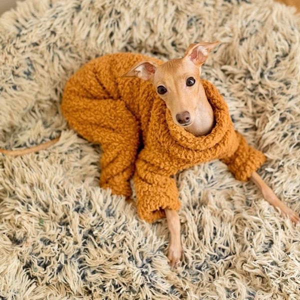 Ours en peluche Fluffy Whippet Greyhound Onesie Pyjama Italian Lurcher Galgo Jumper Pull en fourrure Lévrier