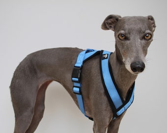 whippet lead