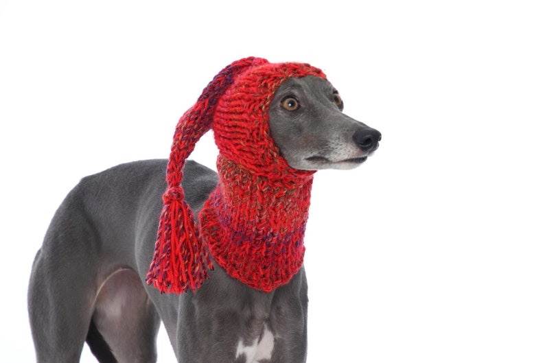 DIFFERENT COLOURS Hand Knitted Tassel Hat and Snood Ear Warmer Whippet, Greyhound, Italian Greyhound, Lurcher Sighthound Galgo Saluki image 1