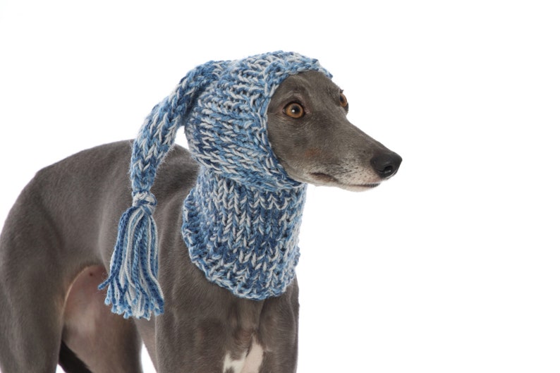 DIFFERENT COLOURS Hand Knitted Tassel Hat and Snood Ear Warmer Whippet, Greyhound, Italian Greyhound, Lurcher Sighthound Galgo Saluki image 2