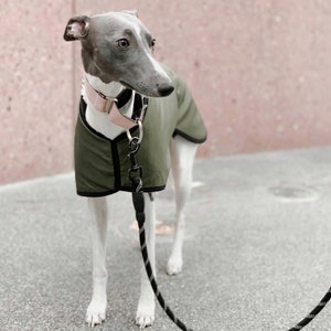 Manteau imperméable vert olive doublé en polaire Whippet Greyhound, avec sangle réglable assortie à clip Lurcher/Lévrier italien/Lévrier image 2