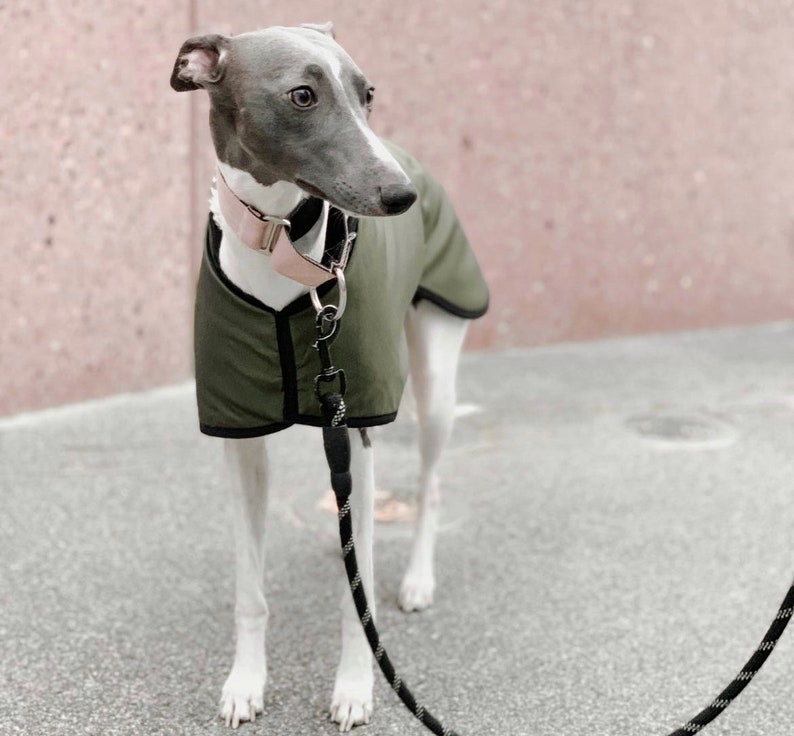 Manteau imperméable vert olive doublé en polaire Whippet Greyhound, avec sangle réglable assortie à clip Lurcher/Lévrier italien/Lévrier image 2