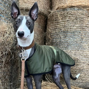 Manteau imperméable vert olive doublé en polaire Whippet Greyhound, avec sangle réglable assortie à clip Lurcher/Lévrier italien/Lévrier image 6