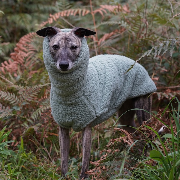 Sage Fluffy Gilet Pull Whippet Greyhound Pyjama Lurcher Galgo Lévrier Italien