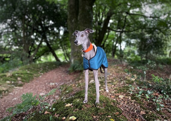 whippet waterproof coats