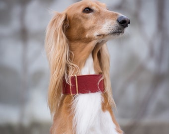 Woven Wine Red Martingale Collar Whippet Greyhound Italian Lurcher Sighthound Wide Dog Collar