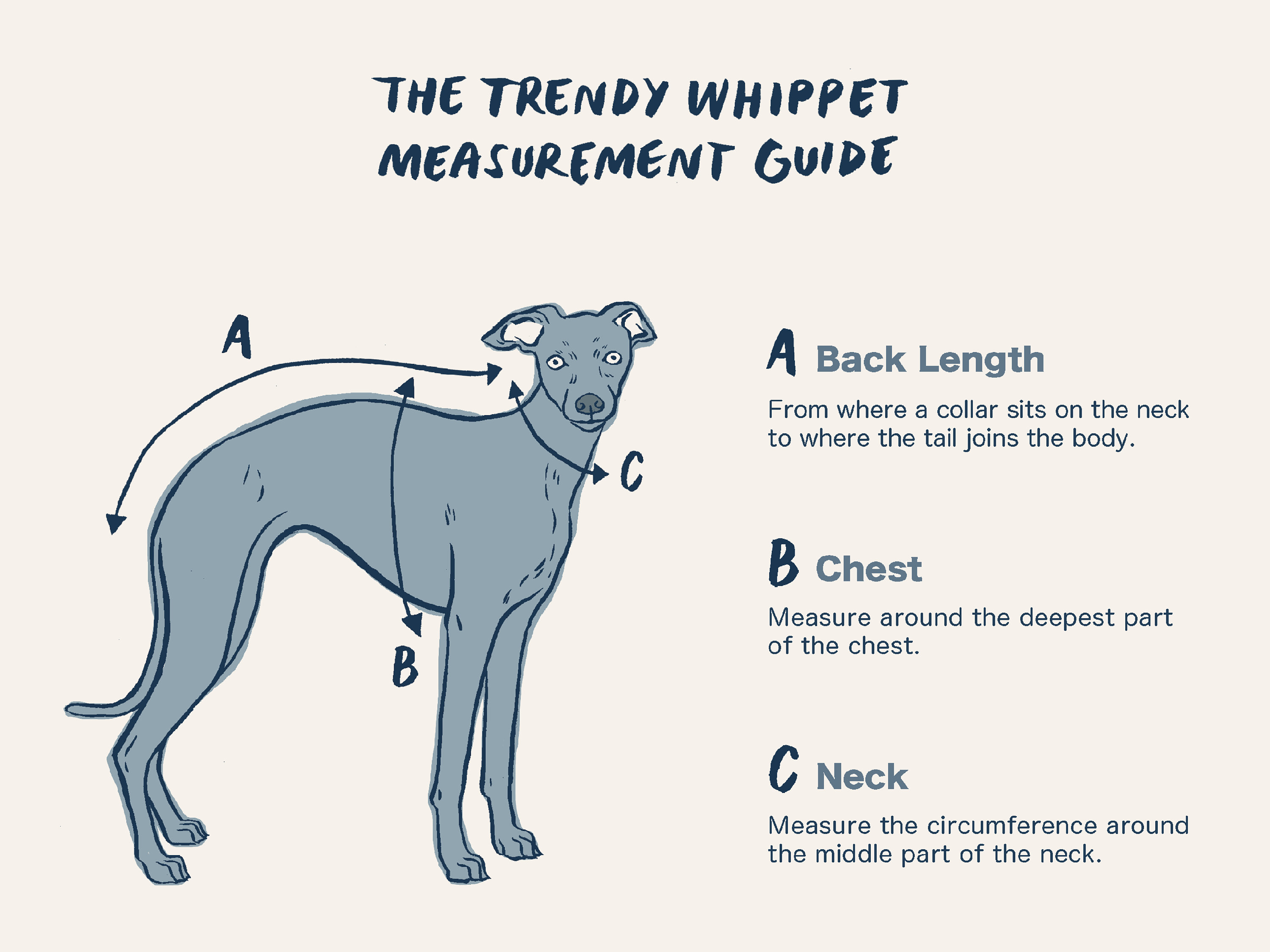 Greyhound harness clearance size