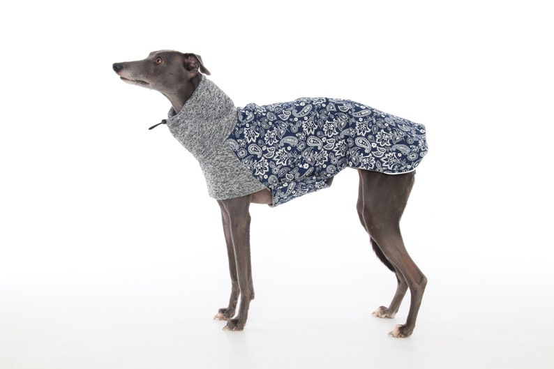 whippet fleece