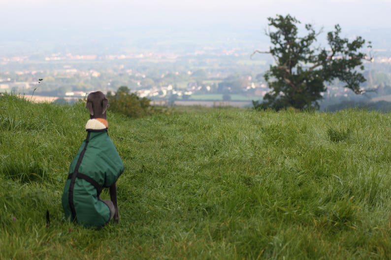 Green Fleece Lined Waterproof Dog Coat with Adjustable Clip Strap Whippet Greyhound Lurcher Italian Greyhound Sighthound