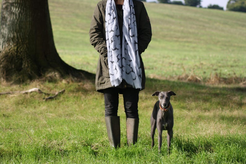 5 Colours Soft Cotton Scarf of Whippet, Greyhound, Italian Greyhound, Saluki, Sighthound, Lurcher, Dog Print Gift Unusual image 2