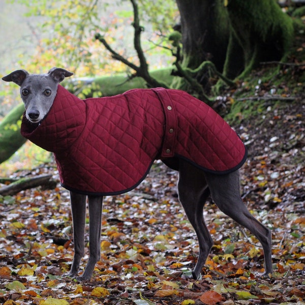 Burgundy Lined Quilted Waterproof Coat Whippet Greyhound, with matching Adjustable Clip Strap Lurcher/ Italian Greyhound/ Sighthound