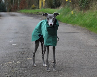 Green Whippet Greyhound Rain Mac Coat with Breathable Mesh Lining and Adjustable Waist Strap Lurcher/ Italian Greyhound/ Sighthound