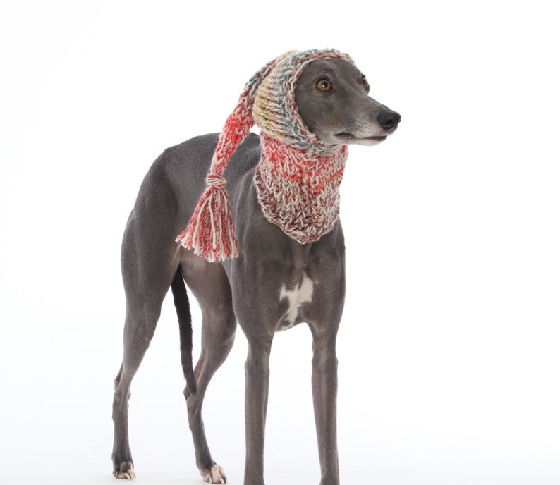 DIFFERENT COLOURS Hand Knitted Tassel Hat and Snood Ear Warmer Whippet, Greyhound, Italian Greyhound, Lurcher Sighthound Galgo Saluki image 4