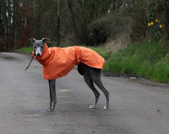 Orange Whippet Greyhound Rain Mac Coat with Breathable Mesh Lining and Adjustable Waist Strap Lurcher/ Italian Greyhound/ Sighthound