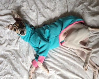 Turquoise and Pink Fleece Cuff Jumper Pyjamas Italian Greyhound, Whippet, Lurcher, Greyhound, Saluki Sighthound