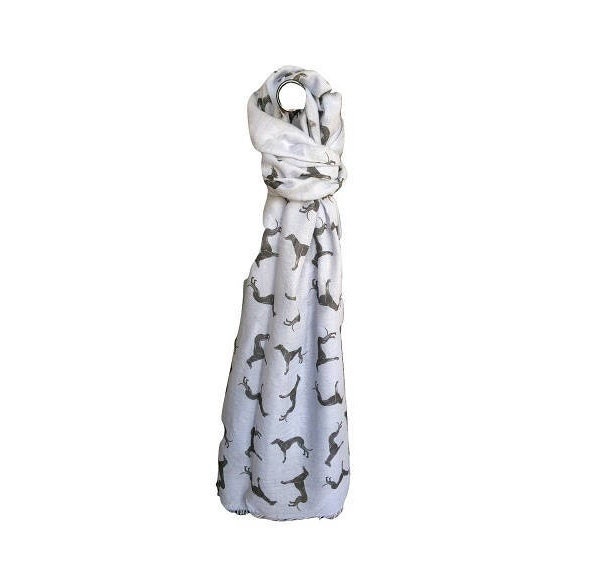 5 Colours Soft Cotton Scarf of Whippet Greyhound Italian - Etsy