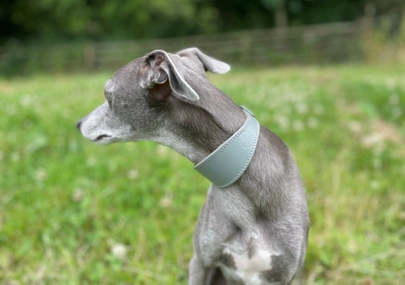 Lurcher collars pets at home sales