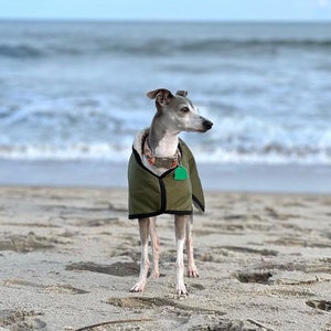 Manteau imperméable vert olive doublé en polaire Whippet Greyhound, avec sangle réglable assortie à clip Lurcher/Lévrier italien/Lévrier image 3