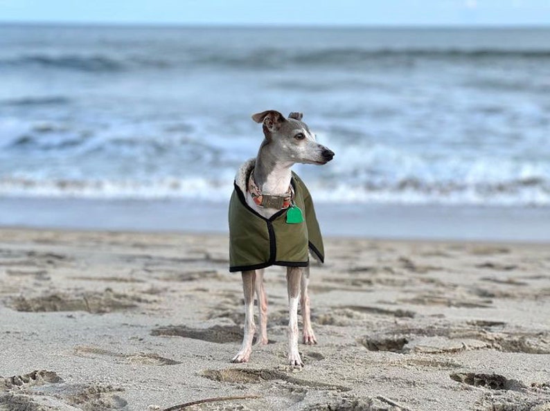Manteau imperméable vert olive doublé en polaire Whippet Greyhound, avec sangle réglable assortie à clip Lurcher/Lévrier italien/Lévrier image 3