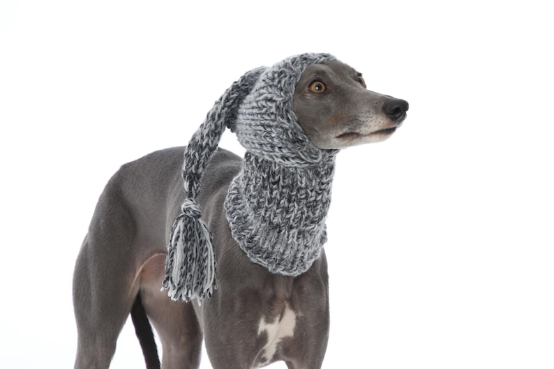 DIFFERENT COLOURS Hand Knitted Tassel Hat and Snood Ear Warmer Whippet, Greyhound, Italian Greyhound, Lurcher Sighthound Galgo Saluki image 3