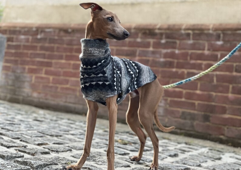 whippet vest