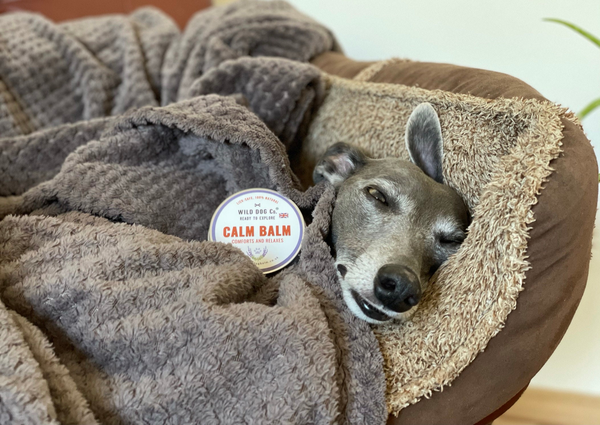 Wild Dog Company Natural Dog Balms Calm Nose Skin Paw. Whippet