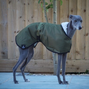 Manteau imperméable vert olive doublé en polaire Whippet Greyhound, avec sangle réglable assortie à clip Lurcher/Lévrier italien/Lévrier image 5