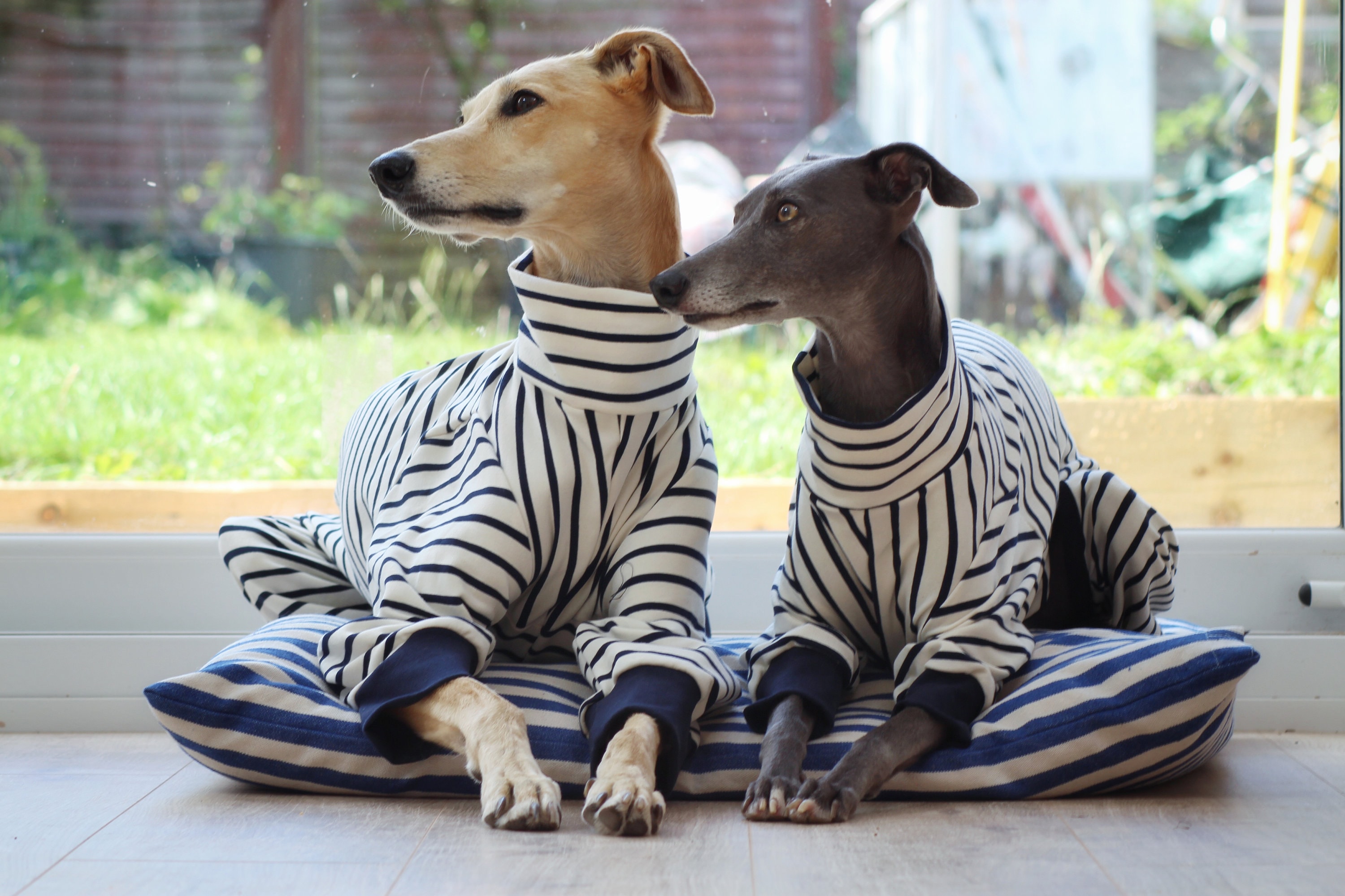 Galgo Pajamas -