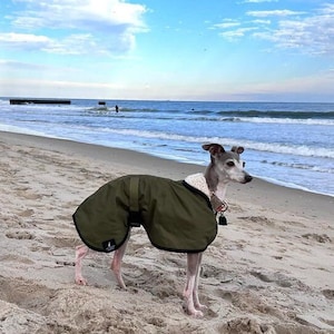 Manteau imperméable vert olive doublé en polaire Whippet Greyhound, avec sangle réglable assortie à clip Lurcher/Lévrier italien/Lévrier image 4