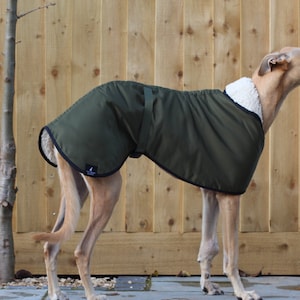 Manteau imperméable vert olive doublé en polaire Whippet Greyhound, avec sangle réglable assortie à clip Lurcher/Lévrier italien/Lévrier image 7