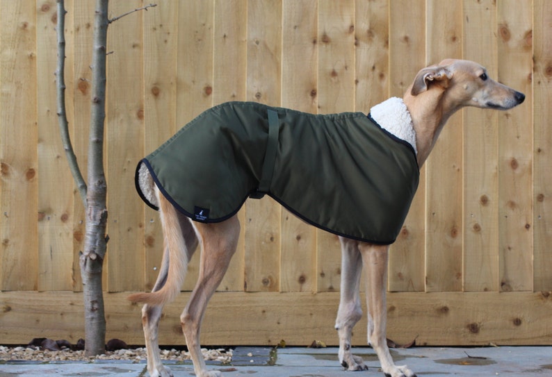 Manteau imperméable vert olive doublé en polaire Whippet Greyhound, avec sangle réglable assortie à clip Lurcher/Lévrier italien/Lévrier image 7