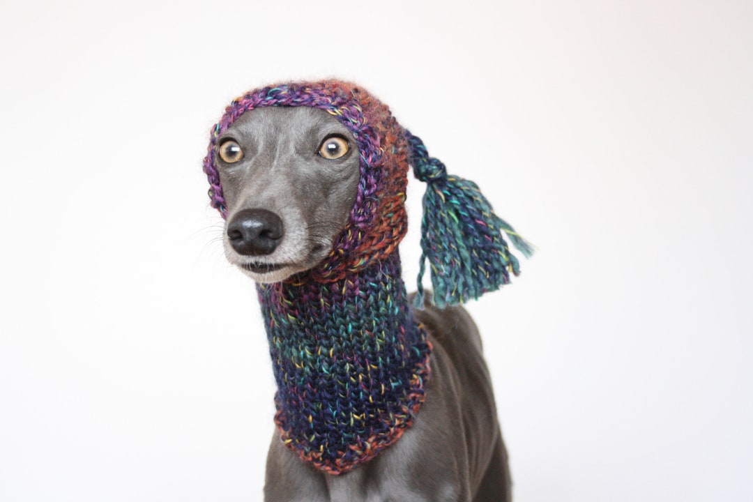 Hand knitted child's bobble hat featuring cutie greyhound lurcher applique Clothing Gender-Neutral Adult Clothing Jackets & Coats whippet 
