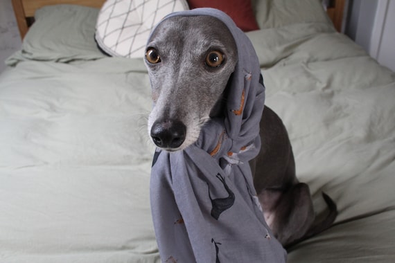 Whippet Silk Scarf