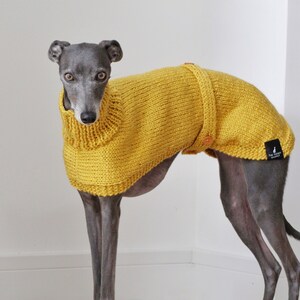 Whippet jumper Clearance
