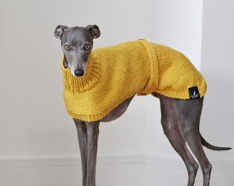 Pull moutarde tricoté à la main Whippet Greyhound Lévrier italien, Lurcher, Saluki Sighthound Pull