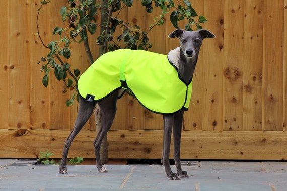 Hi Vis Yellow Fleece Lined Waterproof Coat Whippet Greyhound With