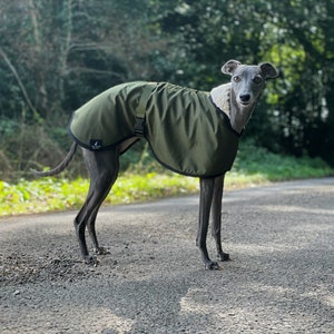 Olive Green Fleece Lined Waterproof Coat Whippet Greyhound, with matching Adjustable Clip Strap Lurcher/ Italian Greyhound/ Sighthound